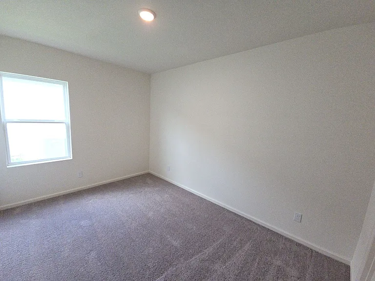 3888 Sunbird Creek Trl — Photo 11