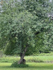 S11090A Dane Hill Road LOT 1, Spring Green, WI, 53588