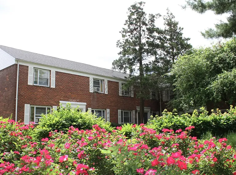 The Woodlands — Photo 10