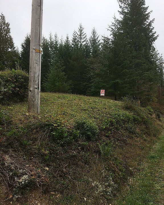 330 W Nahwatzel Beach Dr, Shelton, WA 98584 Zillow