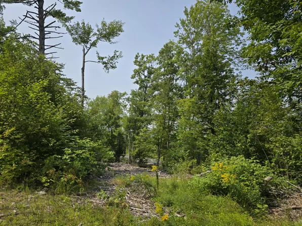 Lot7 Bear Brook Subdivision, Sebec, ME 04481