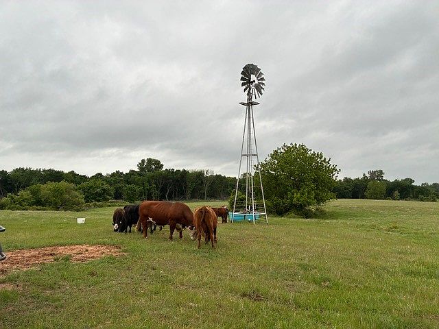 1st image of 599 Lone Star Rd