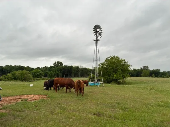 599 Lone Star Rd, Poolville, TX 76487