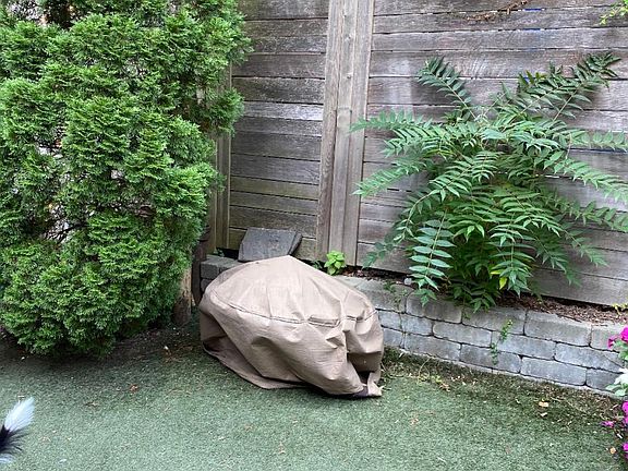 Great for entertaining and BBQs!