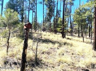 0 County Road 2191, Alpine, AZ 85920