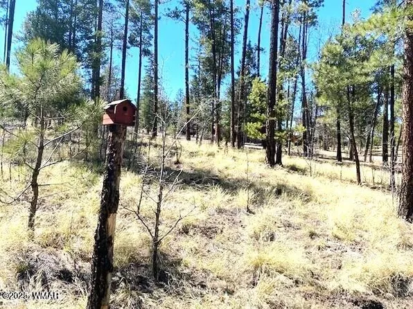 0 County Road 2191, Alpine, AZ 85920