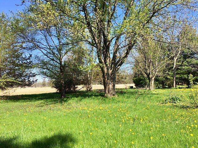 2nd image of 1659 Hook Island Rd
