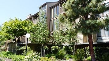 1st image of 49 Showers Dr APT J228