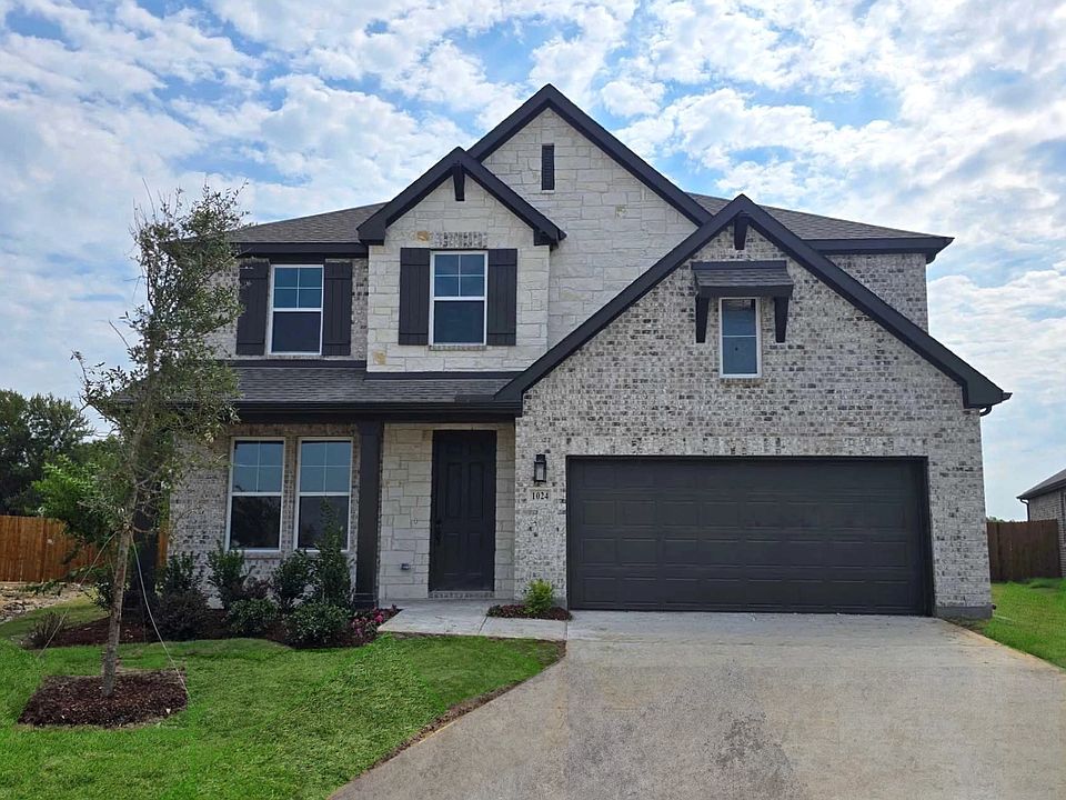 Exterior Design Construction Progress