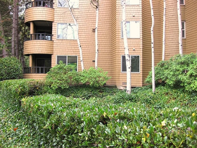 1st image of 14330 12th Ave NE APT 410M