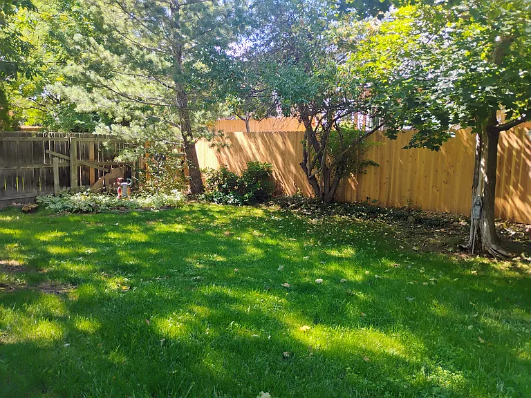 Big back yard