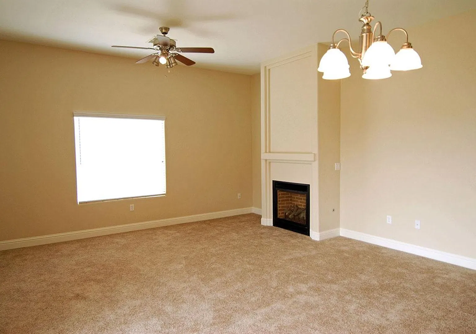 261.242 - Jerry & Kathleen Zechmeister — Photo 3