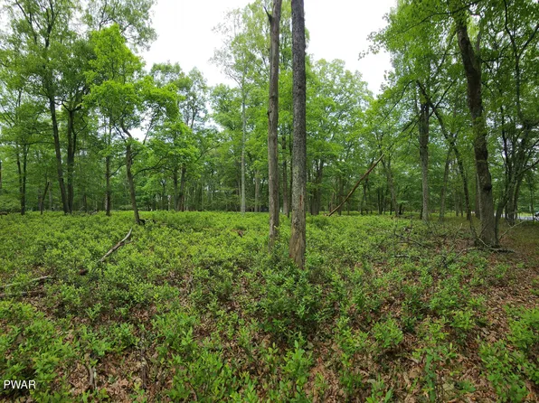 LOT 26 Pine Pl, Hawley, PA 18428