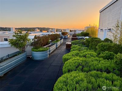 1545 NW 57th Street #204, Seattle, WA, 98107