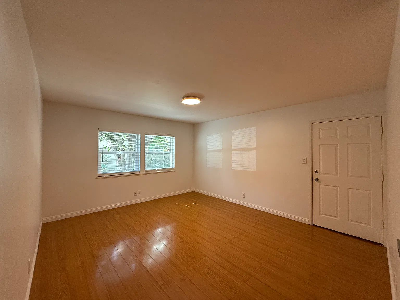 3623 Kalsman Dr — Photo 3