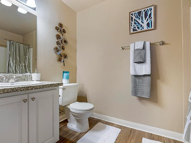 Sonterra Apartments — Photo 7