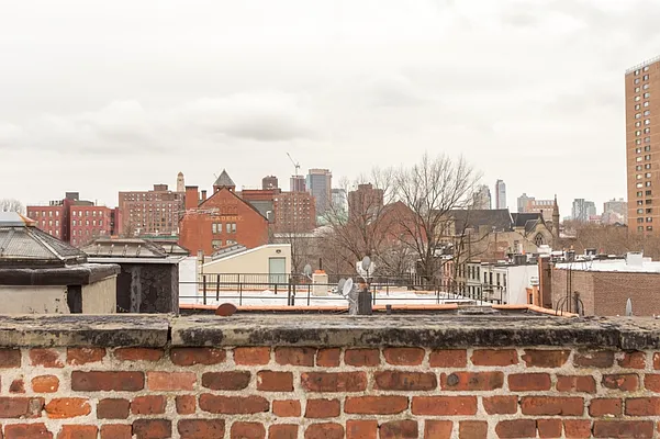 Rented by MNS | media 38