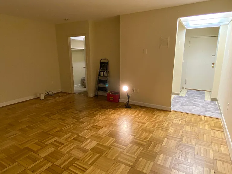 The door to the large walk-in closet and the bathroom is on the left. The kitchen is on the right, with the window behind.