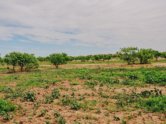 4th image of 13450 County Road 440