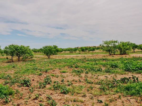 13558 A County Rd #440, Merkel, TX 79536