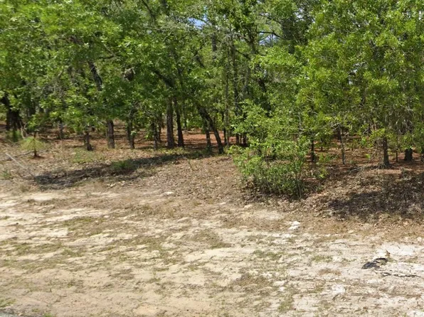 7160 N Ireland Dr, Citrus Springs, FL 34434