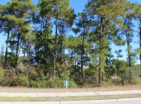 3rd image of 151 Sago Palm Dr. Lot 93 Sago Plantation