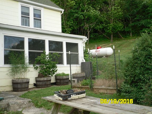 South garden / Sun room