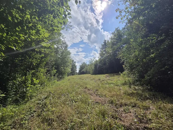 Bunnell Rd Lot Wp001, Waverly, NY 14892