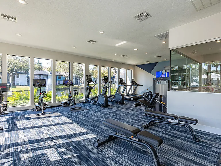 Avion at Carrollwood — Photo 19