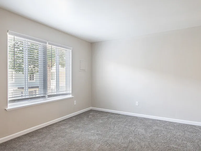 ReNew Newport News — Photo 23