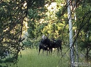 193 Bear Pl, Drake, CO 80515