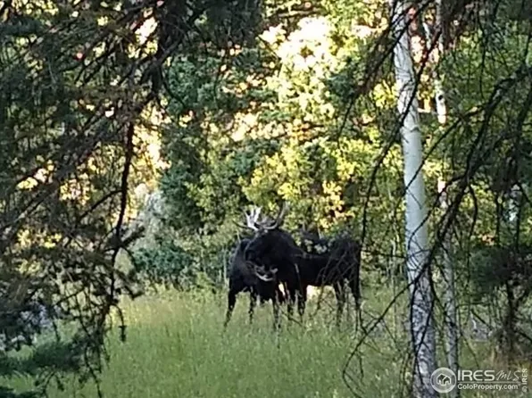 193 Bear Pl, Drake, CO 80515