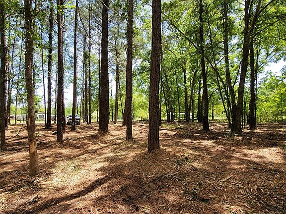 5th image of Merritt Drive Acres #82