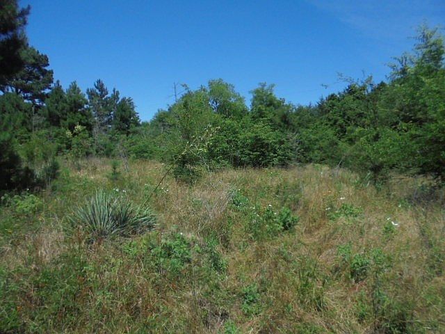 1st image of 19859 County Road 481