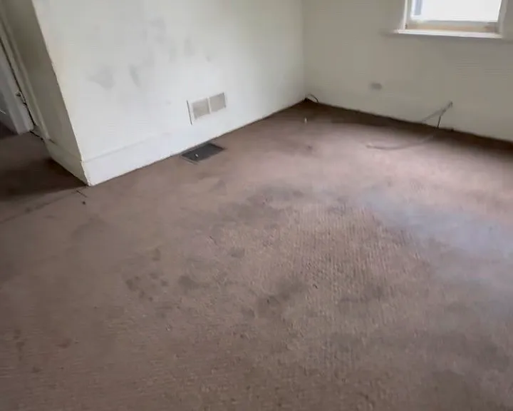 1303 E Whitmer St — Photo 9