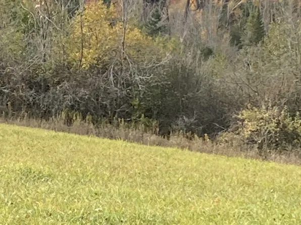 323 Orange Corners Rd, Kawartha Lakes, ON K0L 2W0