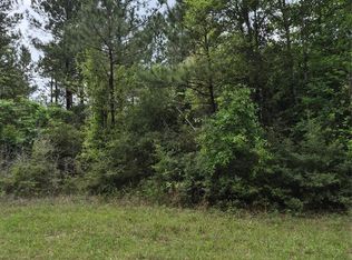 1 State Road 146/e Schwab Rd, Livingston, TX 77351