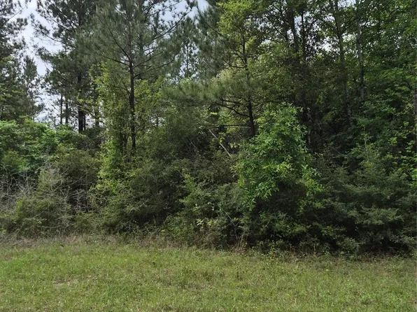 1 State Road 146/e Schwab Rd, Livingston, TX 77351