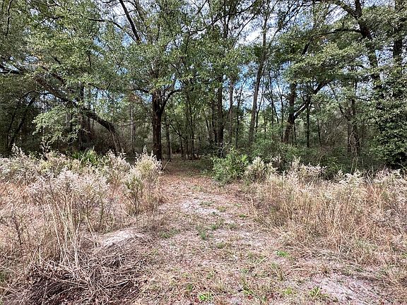 5th image of 14th St Lot 17