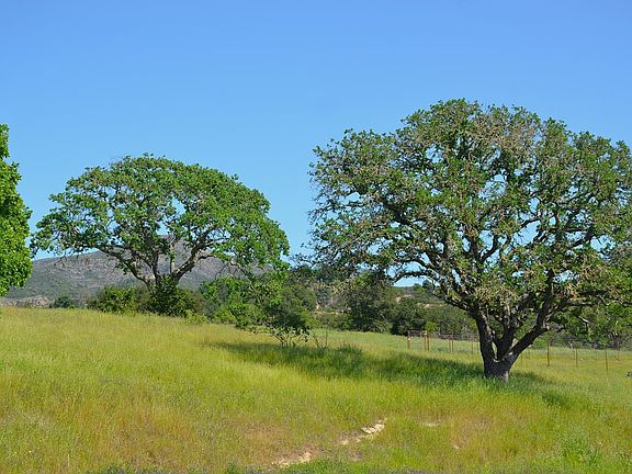 2nd image of 2186 Monticello Road
