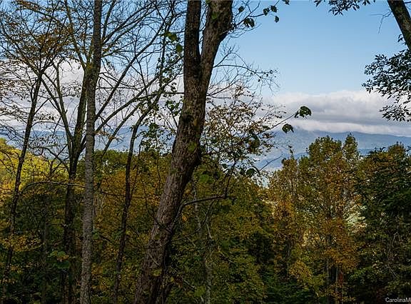 3rd image of 299 High Hickory Trl #32