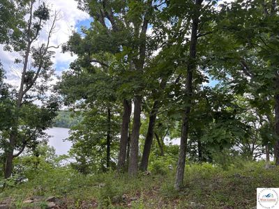 Crescent Moon Dr, Edwards, MO, 65326