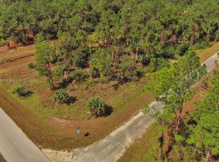 158 Nagel Ave S, Lehigh Acres, FL 33974