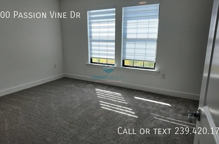 3700 Passion Vine Dr — Photo 6