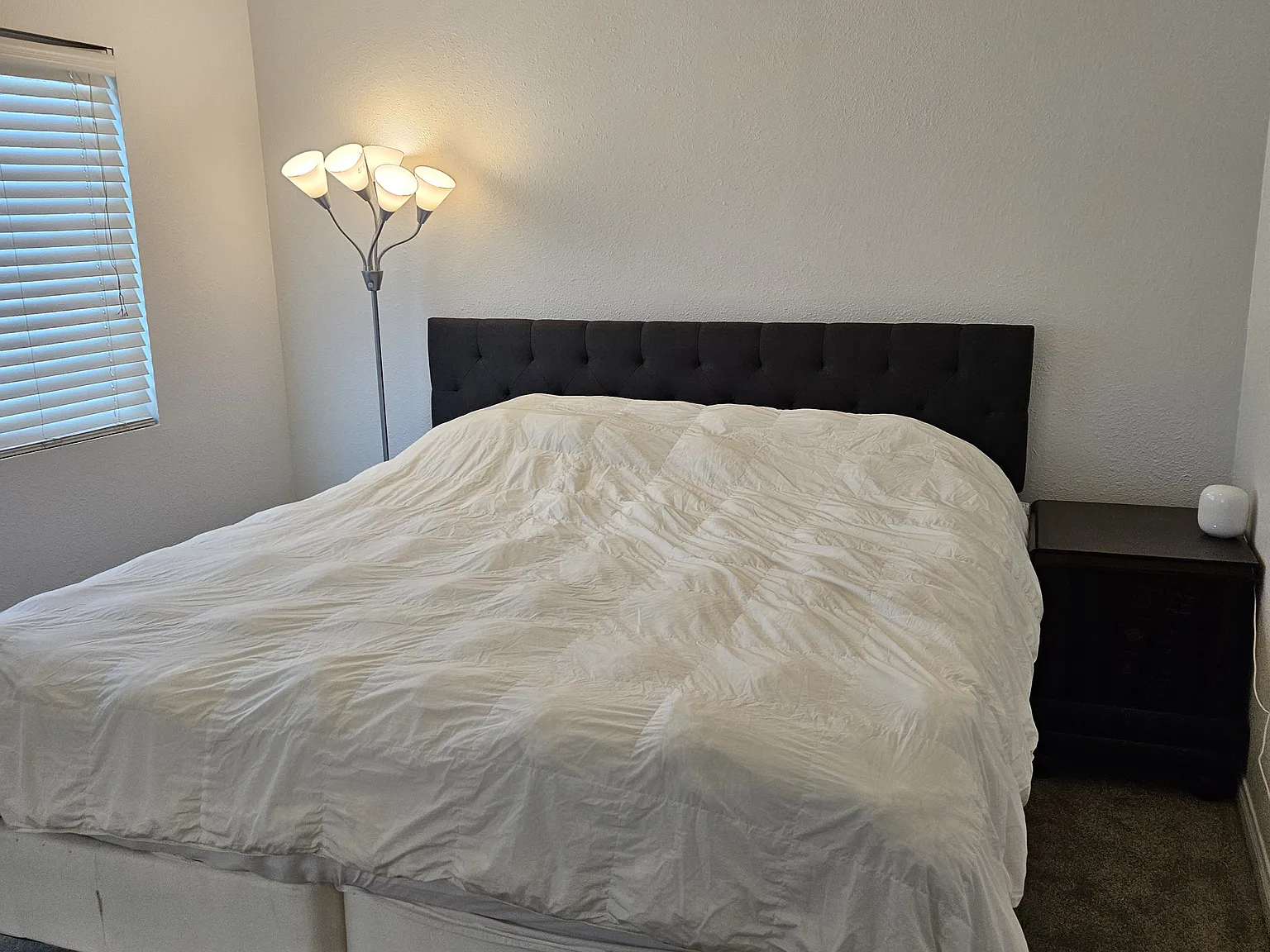 2 bed, 646 sqft, $2,595 — Photo 2