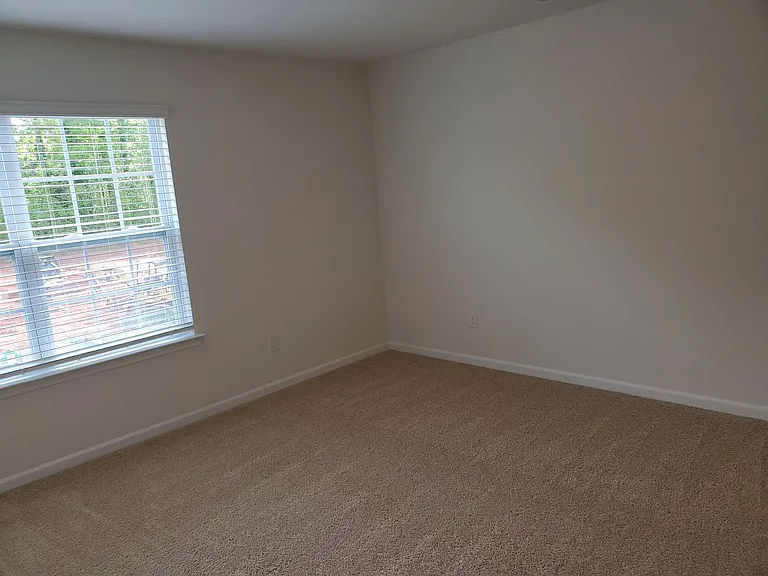 508 Elmwood Pond Ct — Photo 19