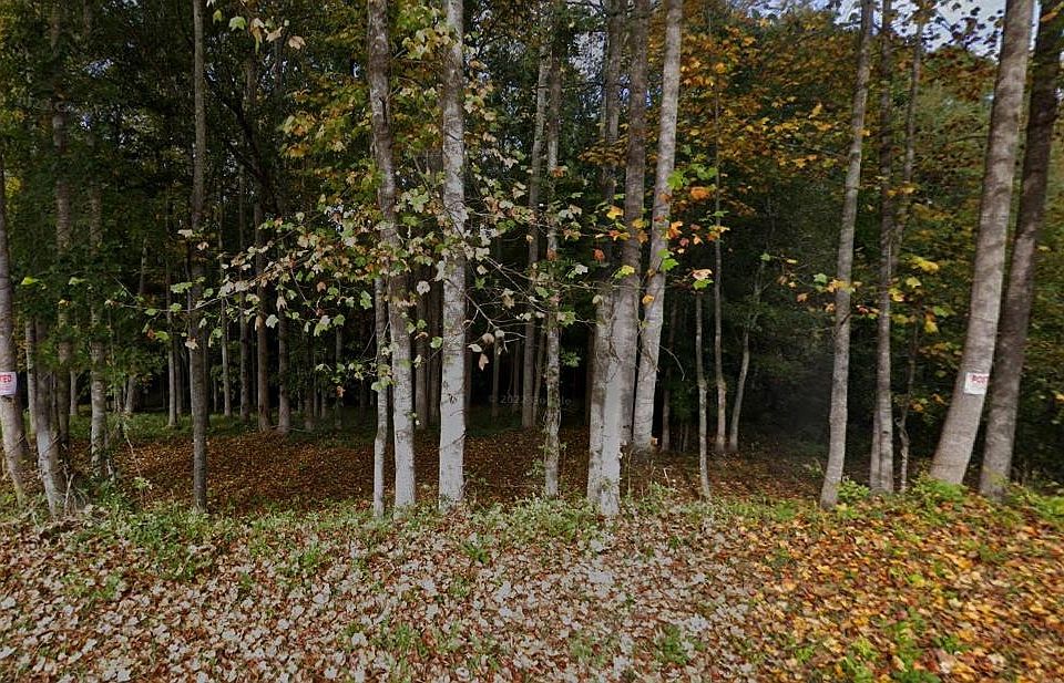 2nd image of Pine Meadow Dr