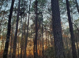 0 Mark Wood Rd, Dexter, GA 31019