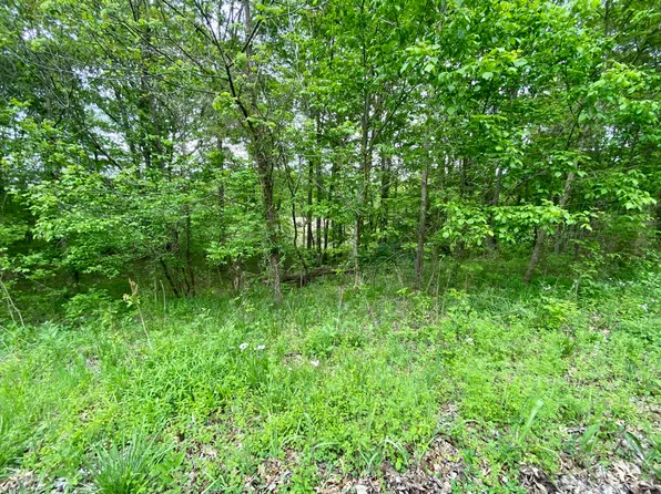 77 Lafayette Rd, Caneyville, KY 42721