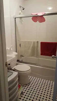 Rented by Brooklyn Bridge | media 9